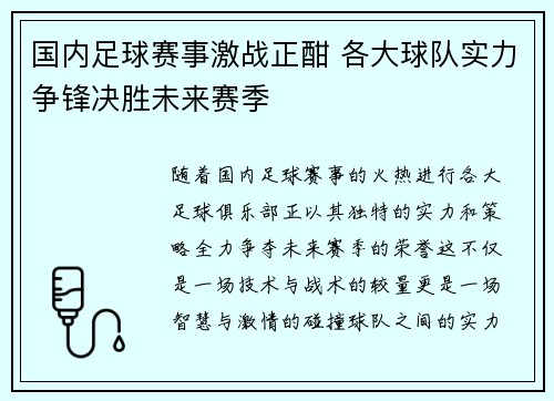 国内足球赛事激战正酣 各大球队实力争锋决胜未来赛季