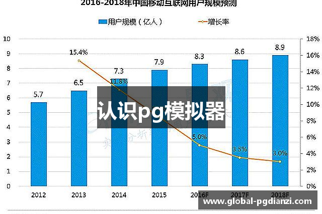 认识pg模拟器